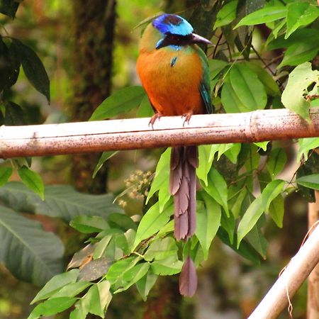 Cantos Da Mata Chapada dos Guimarães Εξωτερικό φωτογραφία
