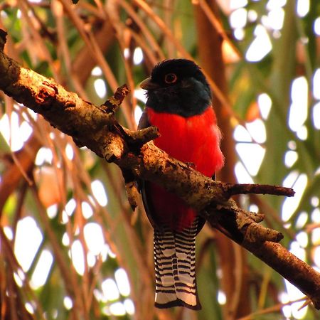 Cantos Da Mata Chapada dos Guimarães Εξωτερικό φωτογραφία