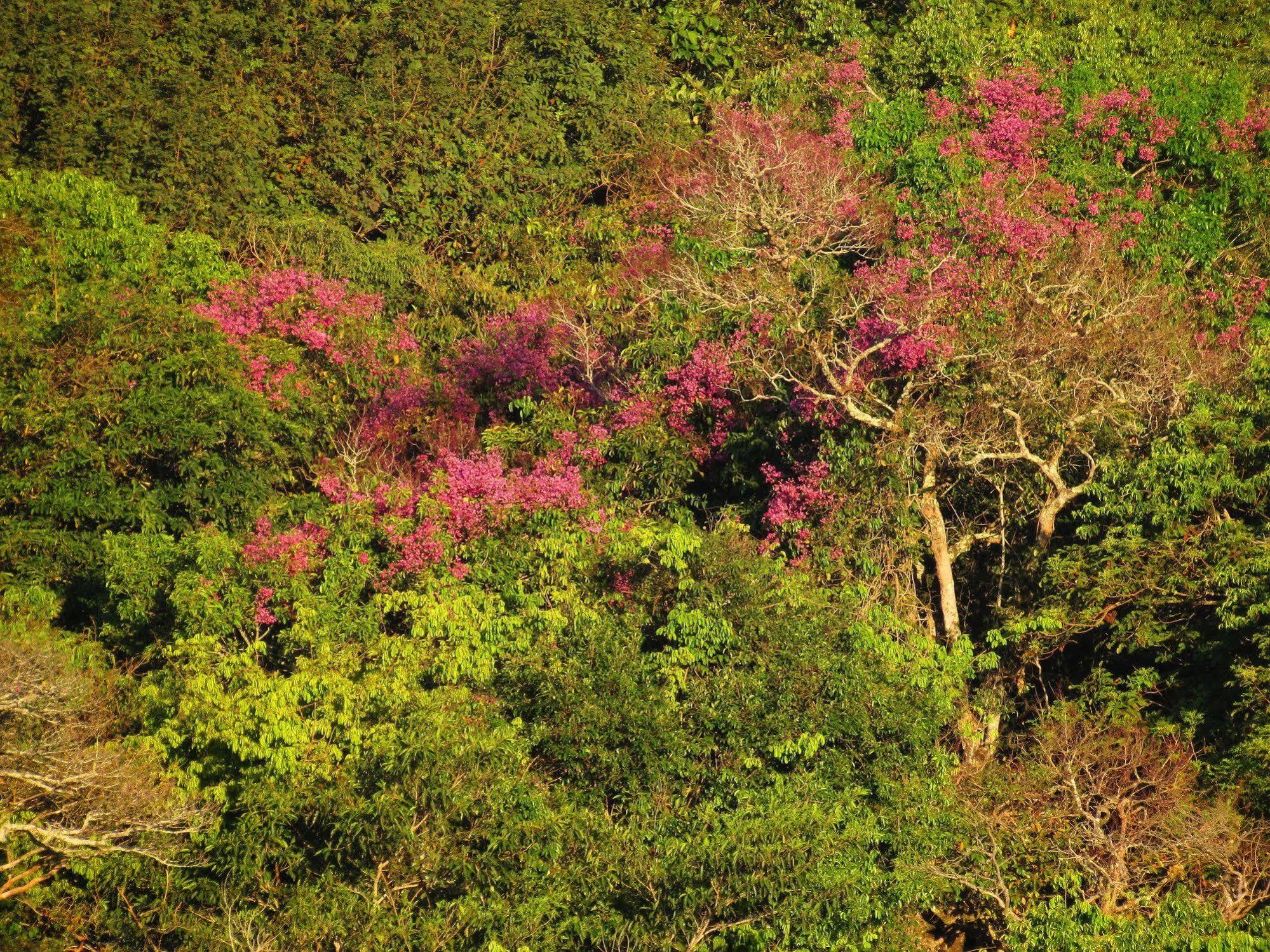 Cantos Da Mata Chapada dos Guimarães Εξωτερικό φωτογραφία