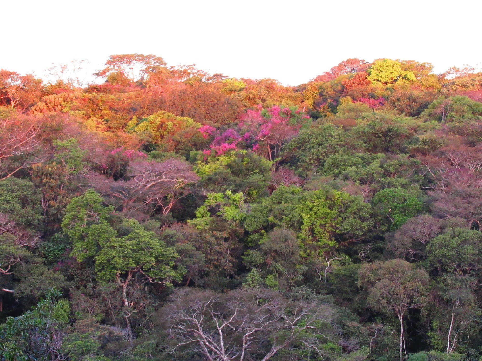 Cantos Da Mata Chapada dos Guimarães Εξωτερικό φωτογραφία